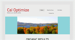 Desktop Screenshot of caloptimize.com