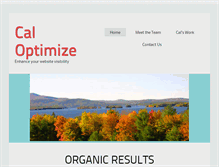 Tablet Screenshot of caloptimize.com